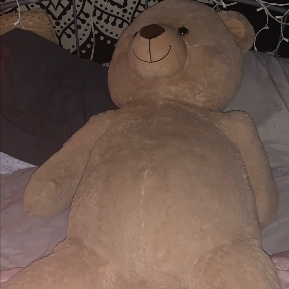 a bear